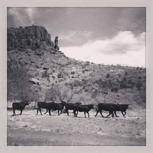 Meet your Posher, Aaron